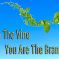 I-Am-The-Vine-You-Are-The-Branches