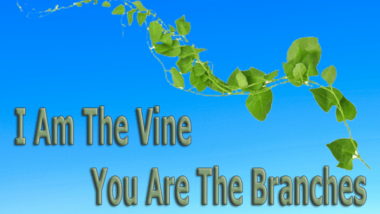 I-Am-The-Vine-You-Are-The-Branches