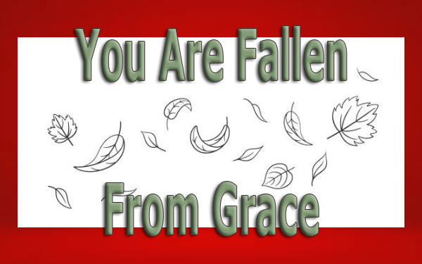 You-Are-Fallen-From-Grace