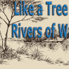 Like-a-Tree-by-Rivers-of-Water