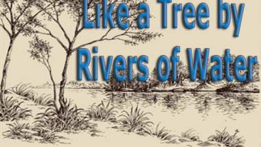 Like-a-Tree-by-Rivers-of-Water