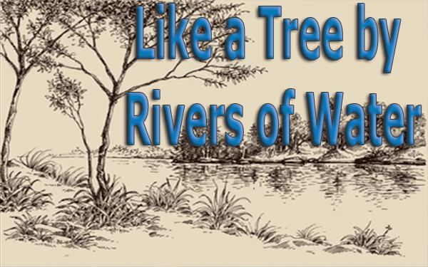 Like-a-Tree-by-Rivers-of-Water