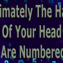 Intimately The Hairs Of Your Head Are Numbered