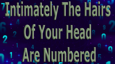 Intimately The Hairs Of Your Head Are Numbered