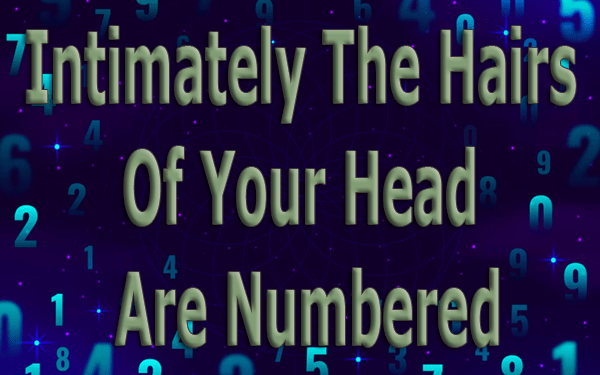 Intimately The Hairs Of Your Head Are Numbered