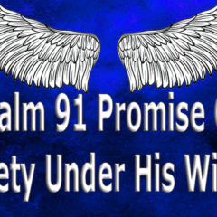 Psalm 91 Promise Of Safety Under His Wings