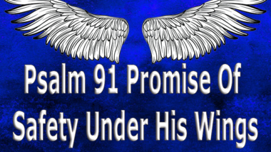 Psalm 91 Promise Of Safety Under His Wings