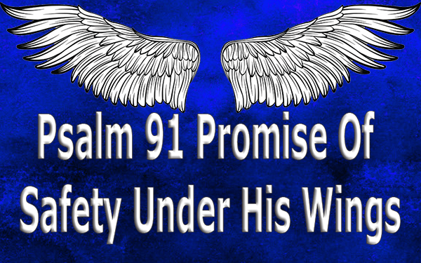 Psalm 91 Promise Of Safety Under His Wings