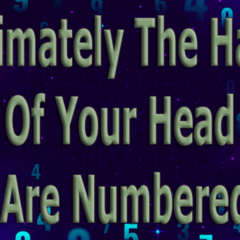 Intimately The Hairs Of Your Head Are Numbered