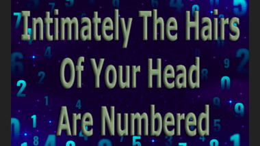 Intimately The Hairs Of Your Head Are Numbered