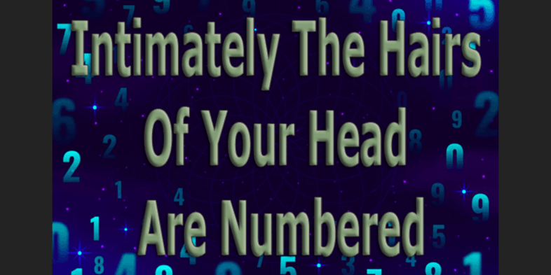 Intimately The Hairs Of Your Head Are Numbered