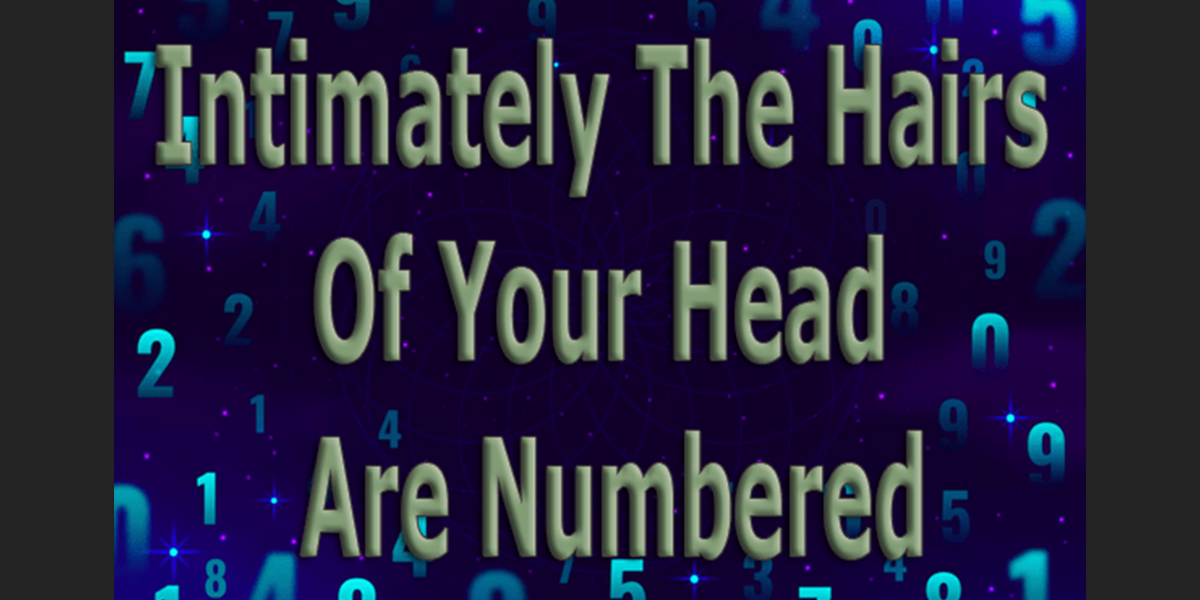 Intimately The Hairs Of Your Head Are Numbered